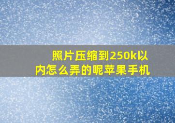 照片压缩到250k以内怎么弄的呢苹果手机