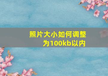 照片大小如何调整为100kb以内