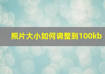 照片大小如何调整到100kb