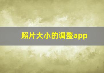 照片大小的调整app