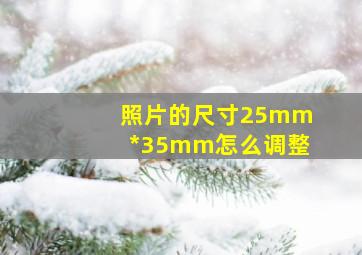 照片的尺寸25mm*35mm怎么调整