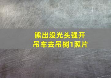 熊出没光头强开吊车去吊树1照片