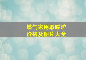 燃气家用取暖炉价格及图片大全