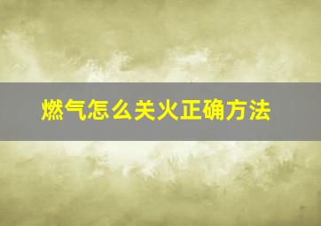 燃气怎么关火正确方法