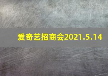 爱奇艺招商会2021.5.14