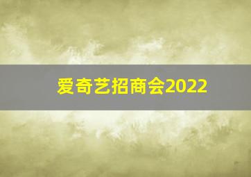 爱奇艺招商会2022