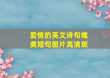 爱情的英文诗句唯美短句图片高清版