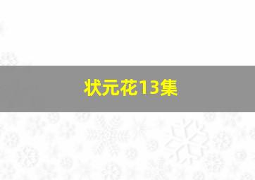 状元花13集