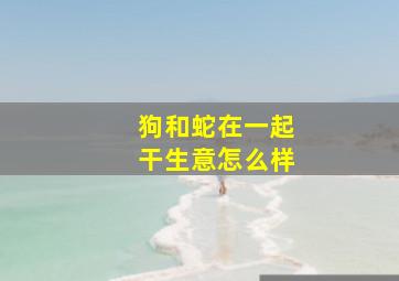 狗和蛇在一起干生意怎么样