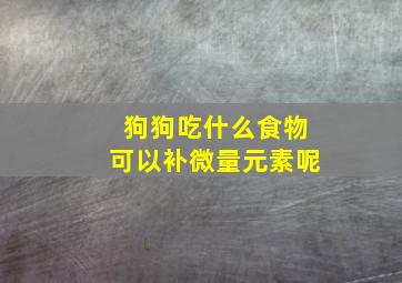 狗狗吃什么食物可以补微量元素呢