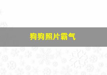 狗狗照片霸气