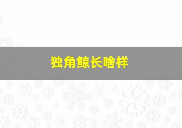 独角鲸长啥样