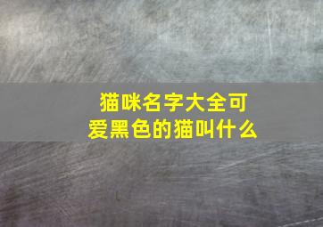 猫咪名字大全可爱黑色的猫叫什么