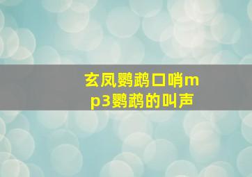 玄凤鹦鹉口哨mp3鹦鹉的叫声