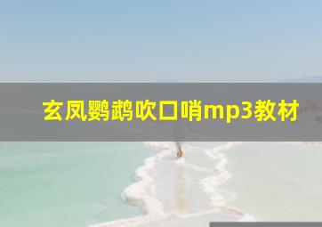 玄凤鹦鹉吹口哨mp3教材