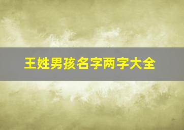 王姓男孩名字两字大全