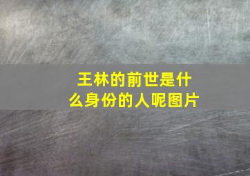 王林的前世是什么身份的人呢图片