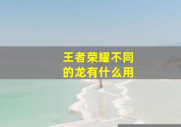 王者荣耀不同的龙有什么用