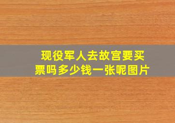 现役军人去故宫要买票吗多少钱一张呢图片