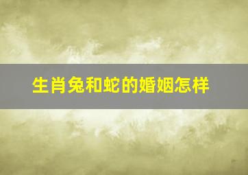 生肖兔和蛇的婚姻怎样