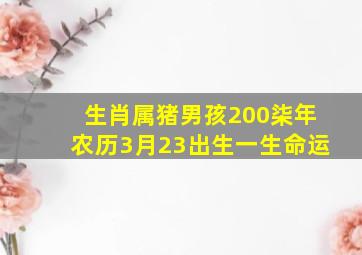 生肖属猪男孩200柒年农历3月23出生一生命运