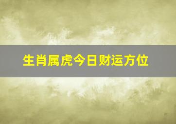 生肖属虎今日财运方位