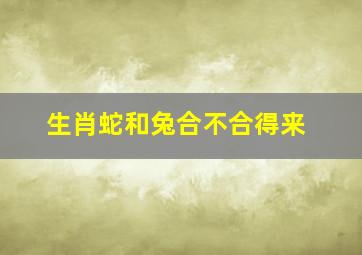 生肖蛇和兔合不合得来