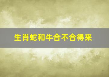 生肖蛇和牛合不合得来