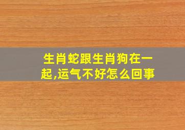 生肖蛇跟生肖狗在一起,运气不好怎么回事