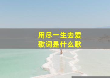 用尽一生去爱歌词是什么歌