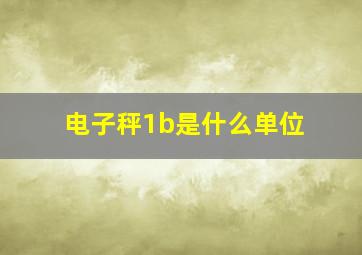 电子秤1b是什么单位