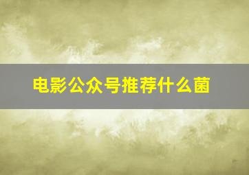 电影公众号推荐什么菌