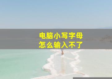 电脑小写字母怎么输入不了