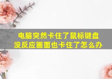 电脑突然卡住了鼠标键盘没反应画面也卡住了怎么办