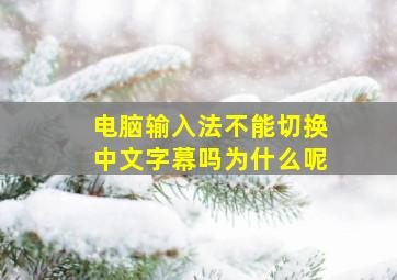 电脑输入法不能切换中文字幕吗为什么呢