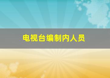 电视台编制内人员