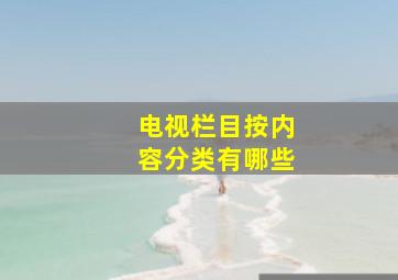 电视栏目按内容分类有哪些