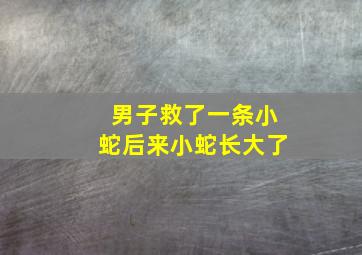 男子救了一条小蛇后来小蛇长大了