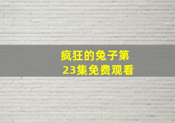 疯狂的兔子第23集免费观看