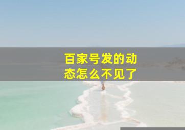 百家号发的动态怎么不见了