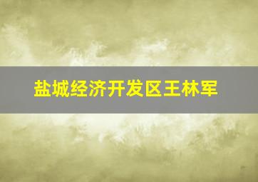 盐城经济开发区王林军