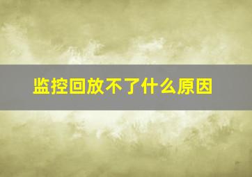 监控回放不了什么原因