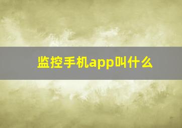 监控手机app叫什么