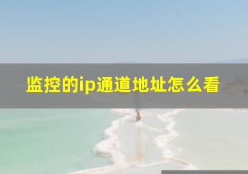 监控的ip通道地址怎么看