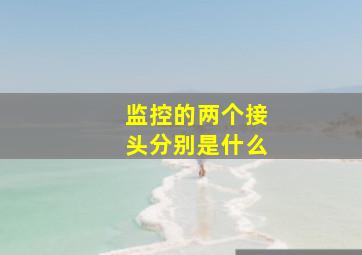 监控的两个接头分别是什么