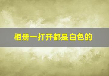 相册一打开都是白色的