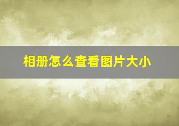 相册怎么查看图片大小