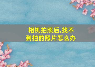 相机拍照后,找不到拍的照片怎么办