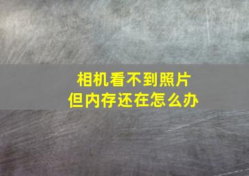 相机看不到照片但内存还在怎么办