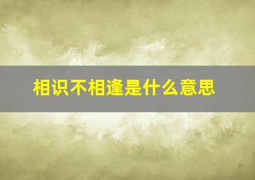 相识不相逢是什么意思